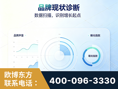 广安-品牌现状诊断